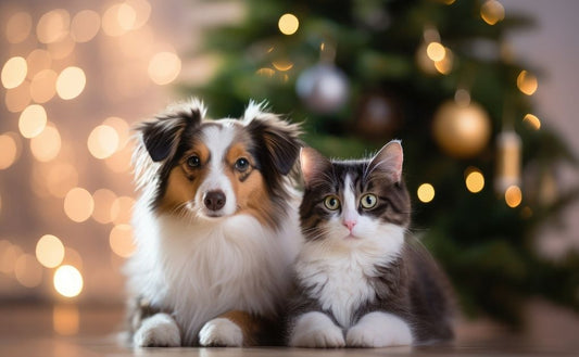 Christmas Safety Tips for Pets