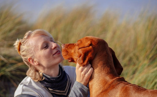 How to be a responsible pawrent