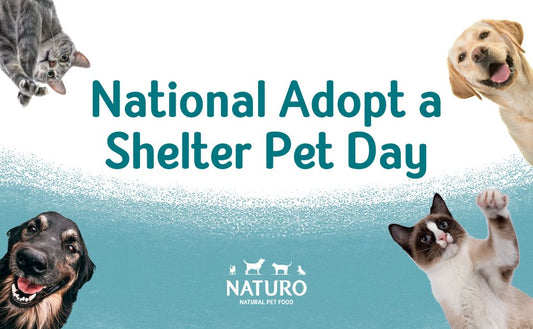 National Adopt a Shelter Pet Day