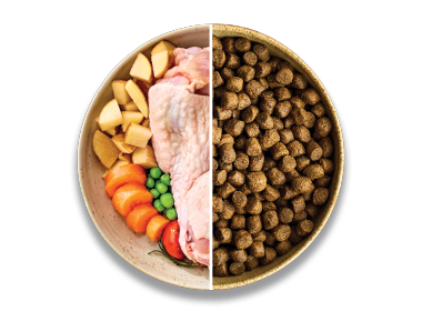 Dry Dog Food