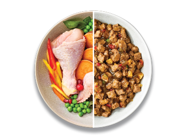 Adult Dog Food