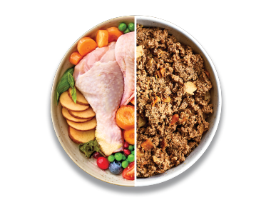 Grain Free