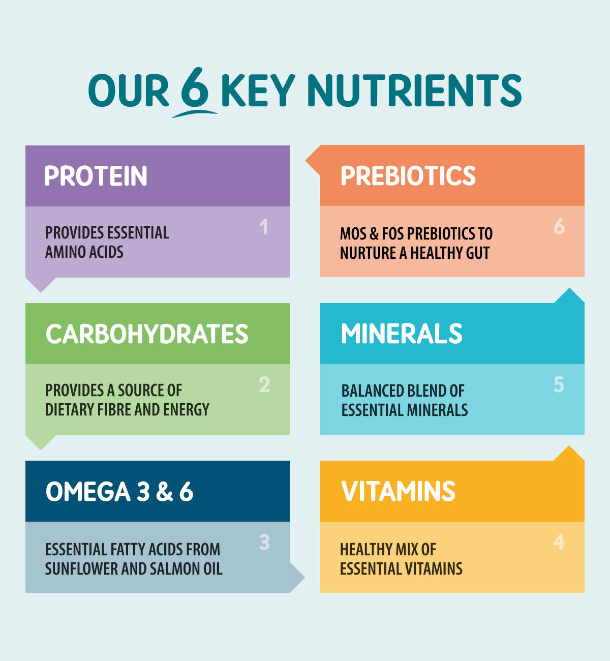 Adult Dog Turkey with Potato and Vegetables - Grain Free Dog Food | 400g Trays x 7