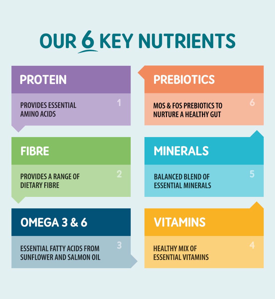 6 key benefits of Naturo - Protein, Prebiotics, Carbohydrates, Minerals, Vitamins, Omega 3 & 6