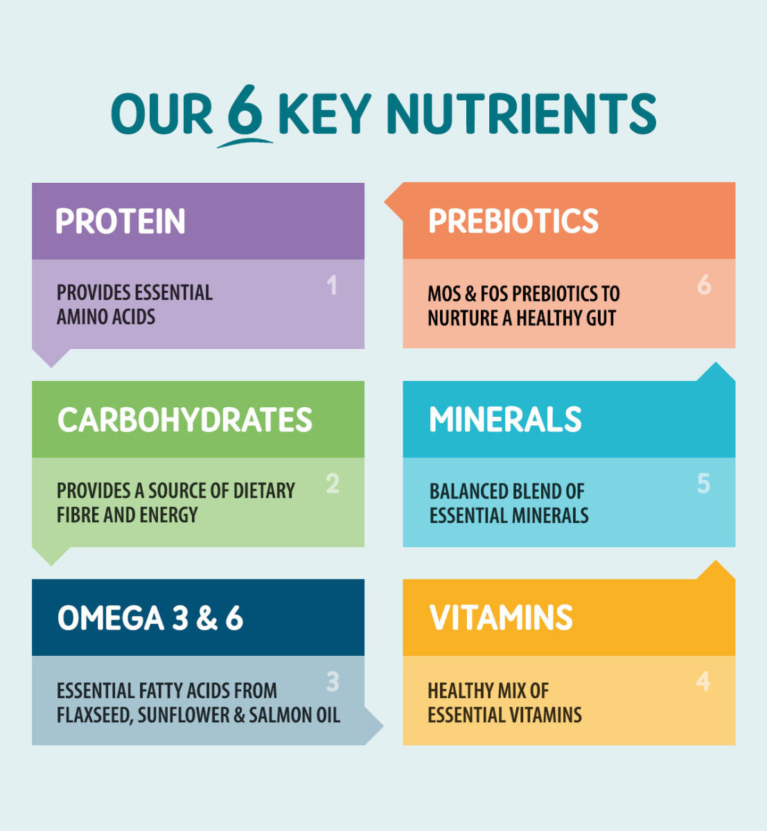 Zalm met kip in kruidengelei voor volwassen honden - Graan- en glutenvrij hondenvoer | Blikjes van 390 g x 12