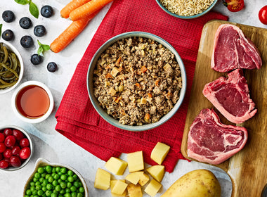 Our Recipes