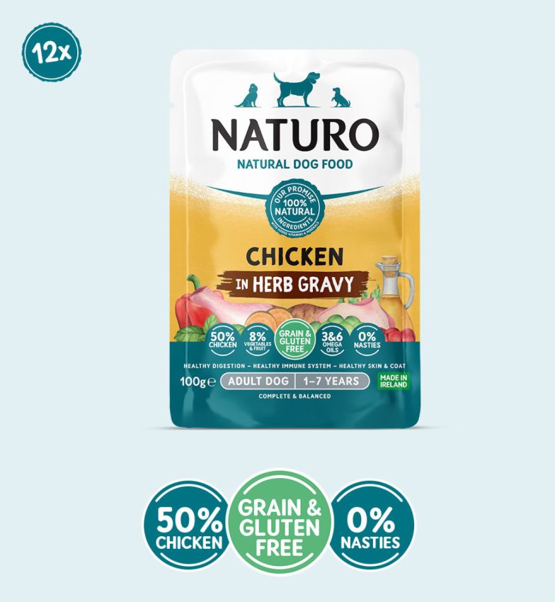 Adult Chicken in Herb Gravy -  Grain & Gluten Free Dog Food | 100g Pouches x 12