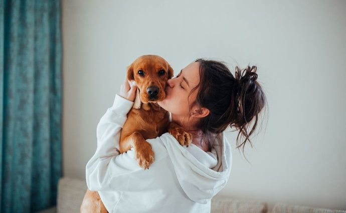 Nurturing Responsible Pet Ownership with Naturo