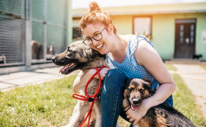 A Pawsitive Tale: Rescuing a Shelter Dog with Naturo Natural Pet Foods