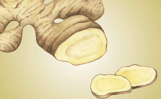 Can My Dog Eat Ginger?