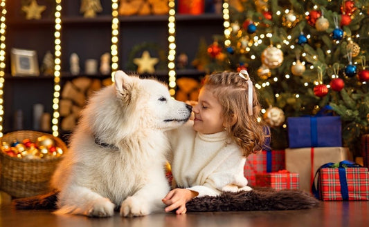 A Pawsitively Perfect Christmas: Ensuring Your Pet's Joy with Naturo Natural Pet Foods