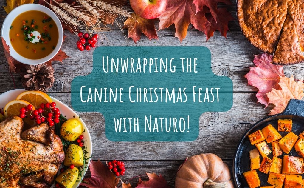 Yuletide Yummies: een feestelijk kerstdiner voor honden met Naturo!