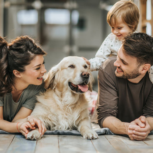 Do you know your dog?