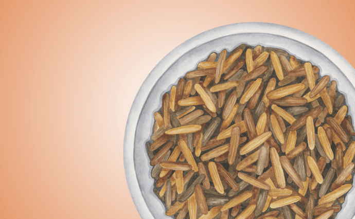 Can My Dog Eat Brown Rice?