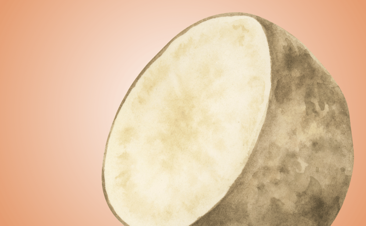 Can My Dog Eat Potatoes?