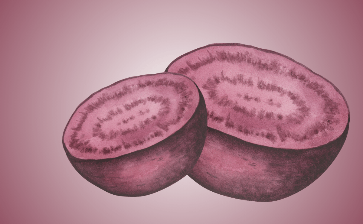Can My Dog Eat Beetroot?