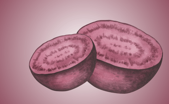 Can My Dog Eat Beetroot?