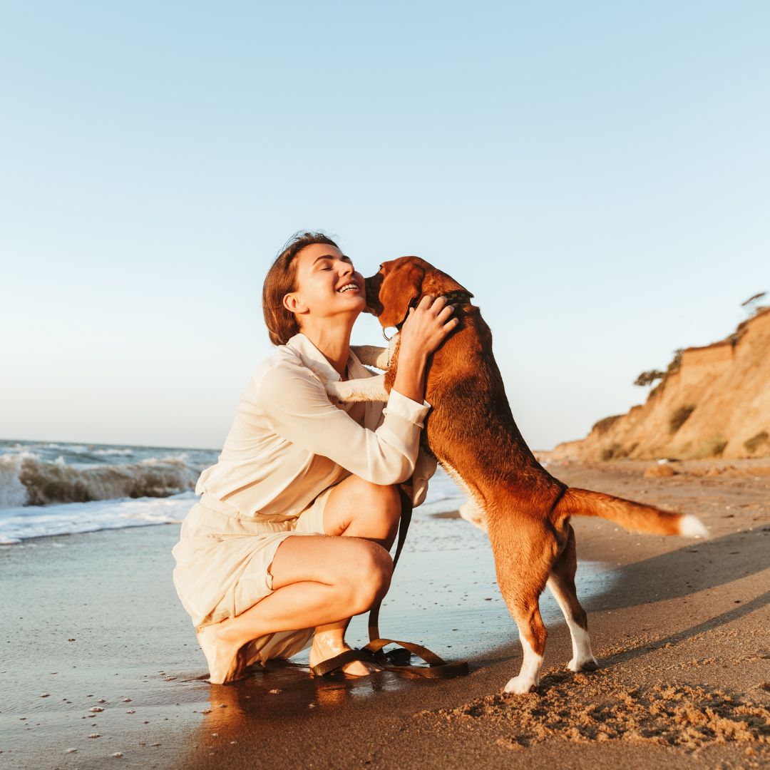 Five Tips for a Healthy Dog