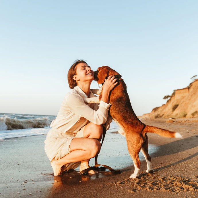 Vijf tips voor een gezonde hond