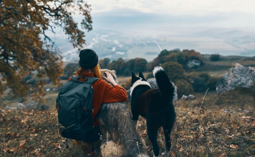 Get Set for Great Doggy Adventures across the UK & Ireland