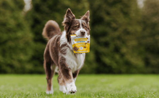 Naturo Treats - Natural, High‑Reward Dog Treats for Training and Everyday Rewards