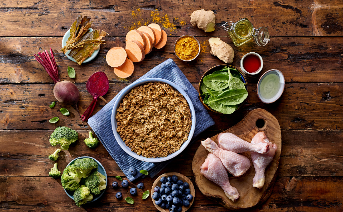 Why Is Protein Important in Dog Food?
