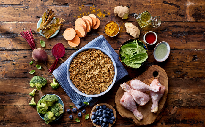 Why Is Protein Important in Dog Food?