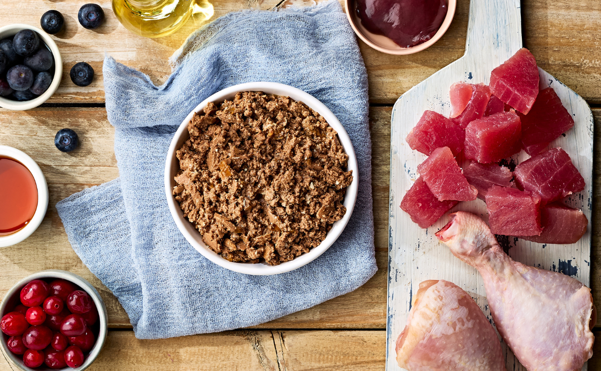 Is Grain-Free Cat Food Actually Healthier?