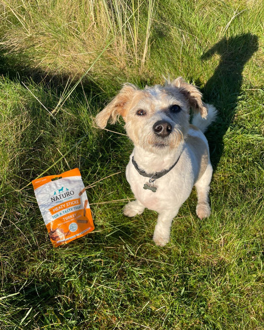Dog with Naturo treats on a grassy background