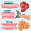 Illustration of cranberries, salmon, and carrots with text about their health benefits on a light blue background.