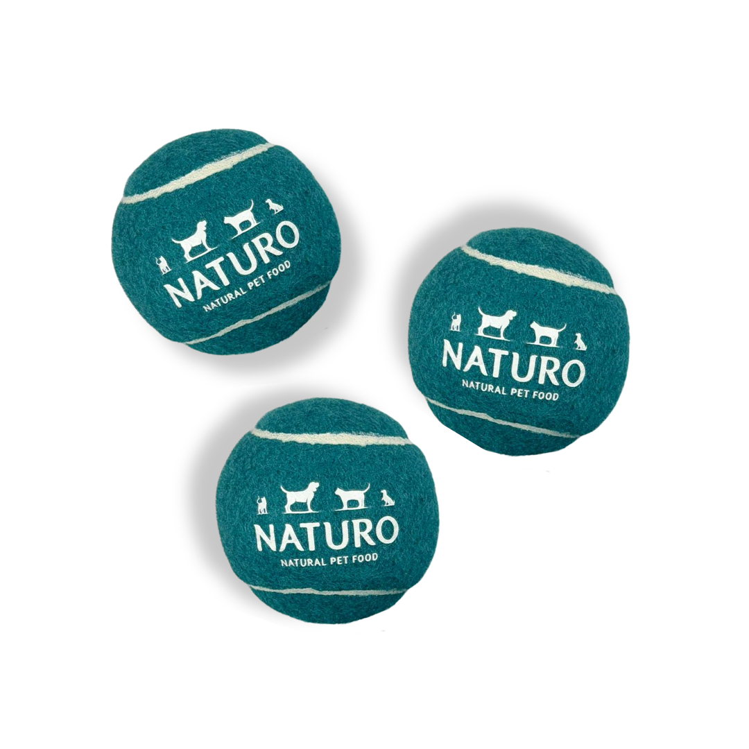 Naturo Squeaky Balls (Pack of 3)