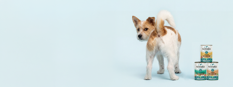 20% OFF SELECT GRAIN FREE WET FOOD