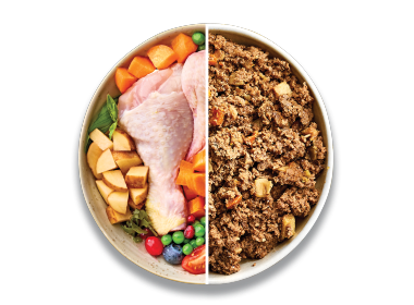 Grain Free
