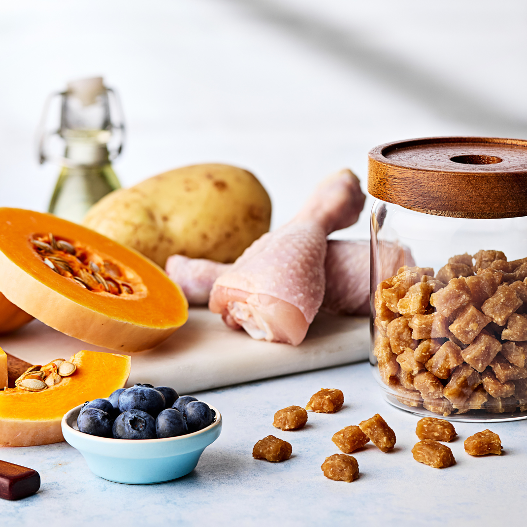 Assorted ingredients including a halved pumpkin, blueberries, a chicken leg, and a container of dog treats on a light surface.