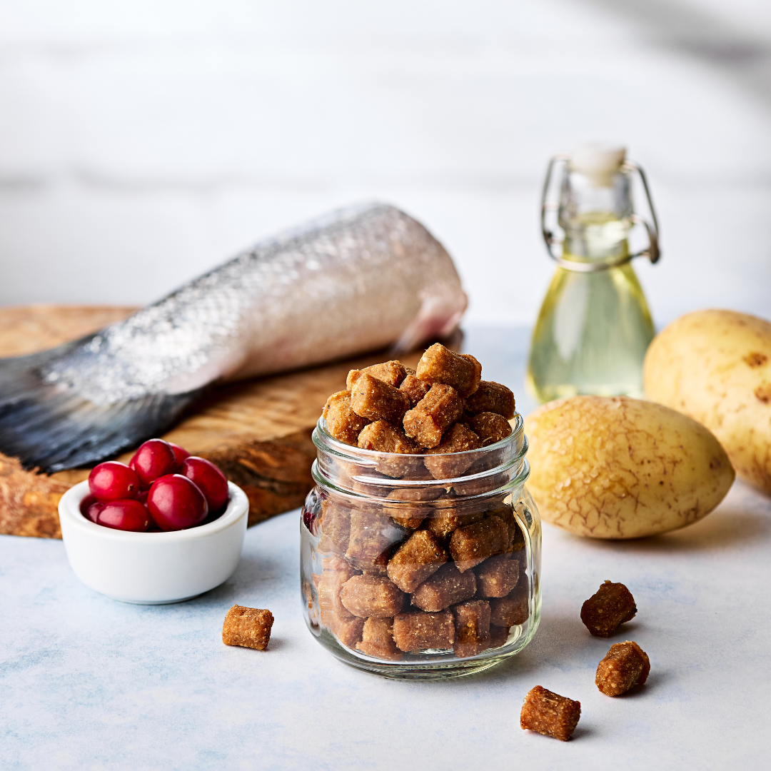 Glass jar filled with Naturo dog treats on a table with fish, potatoes, and berries in the background.