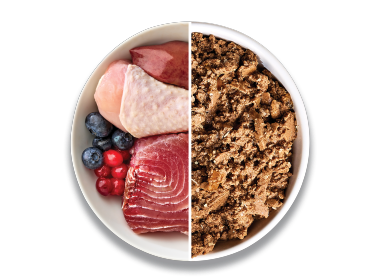 Grain Free