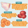 Nutritional information about turkey, cranberry, and carrot on a light blue background