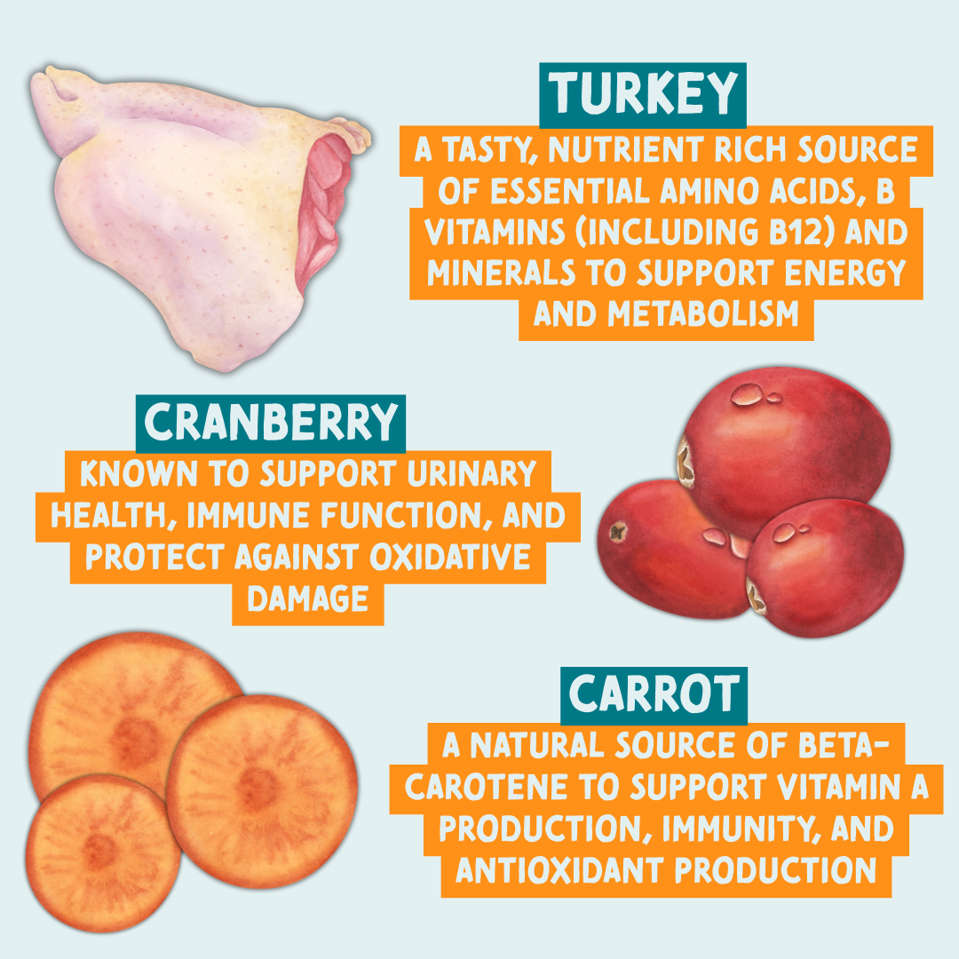 Nutritional information about turkey, cranberry, and carrot on a light blue background