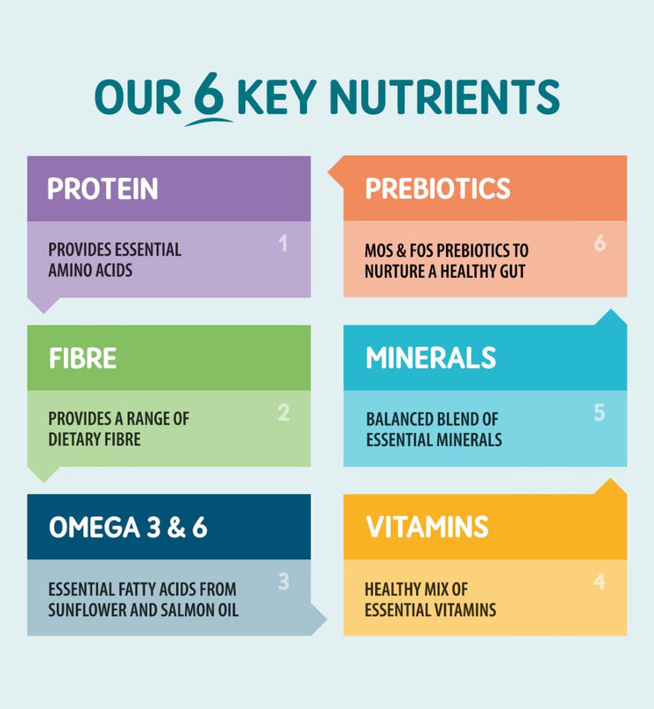 Grain Free Dog Food | Complete & Delicious | Naturo – Naturo Pet Food - True Bite Phytosterols Dog Food Without Gluten