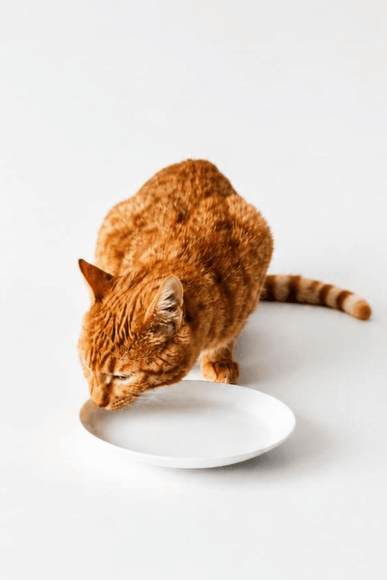 <strong>Product</strong> <strong>&</strong> <strong>Nutritional Details</strong>
