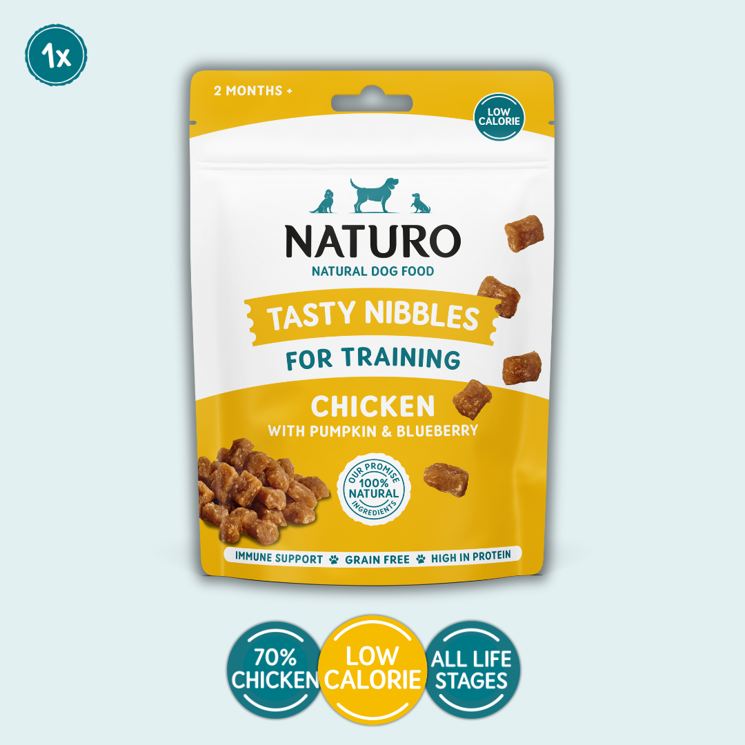 Package of Naturo Tasty Nibbles for training dog treats with chicken, pumpkin, and blueberry on a light blue background.