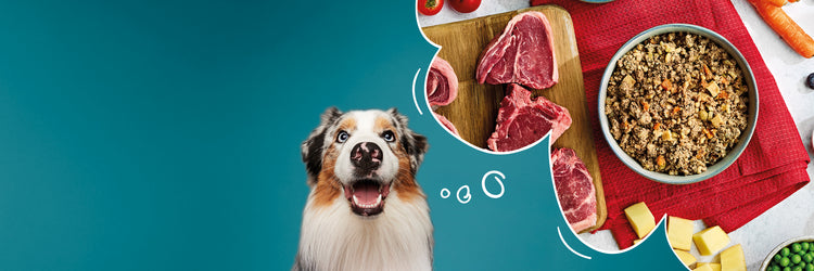 Wet Dog Food with Rice