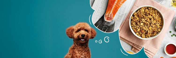 Naturo Discount Codes and Promotions