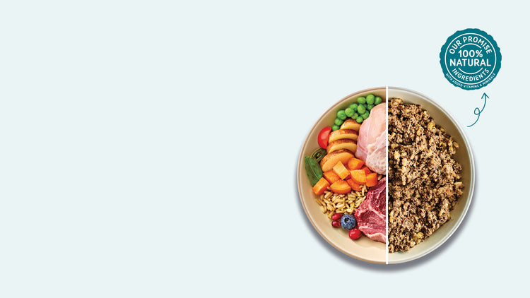 Dog, Puppy and Cat <strong>Feeding Guides</strong>