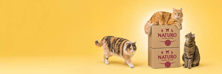 20% OFF ALL CAT FOOD