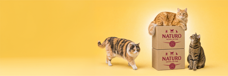 20% off all cat food