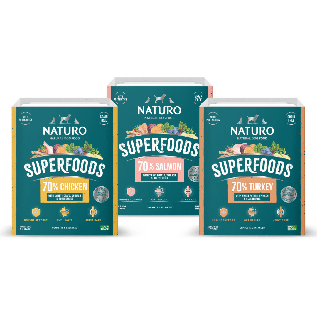 Premium Protein Collection Bundle