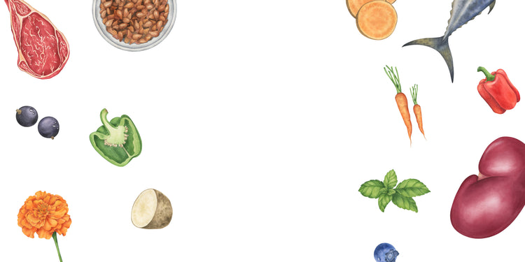 Subscribe & Save <strong>Today</strong>