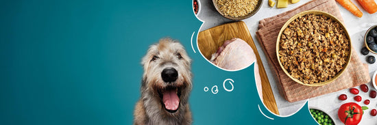 Senior Dog Food | Gentle, Grain-Free for Older Dogs | Naturo – Naturo ...