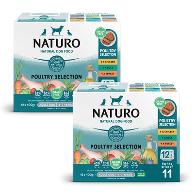 Bulk Pack - Grain Free Poultry Selection 24-Pack Trays